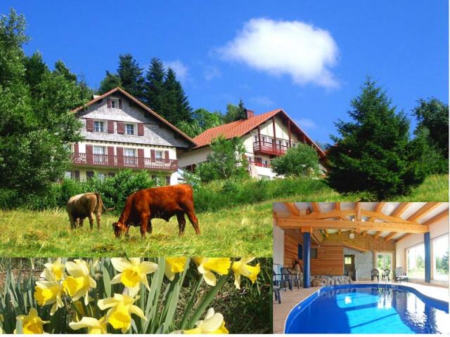 Photo Cottages Grardmer Vacances chalet 5* + piscine grard... 