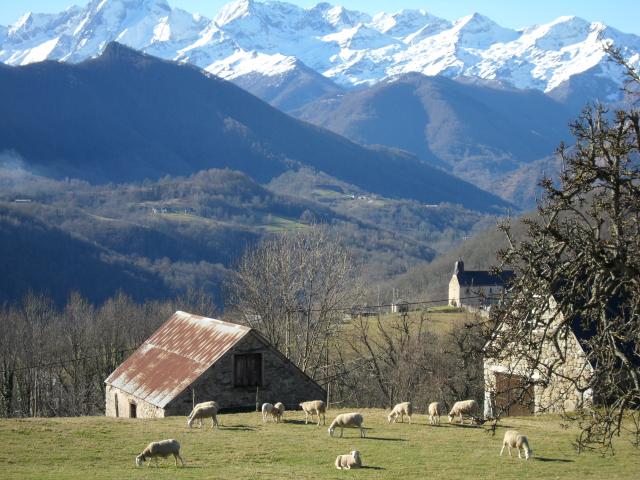 Photo Campsite Seix Camping le haut salat***