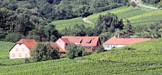 Photo Cottages Nothalten Au cep de vigne