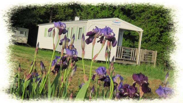 Camping le bois fleuri