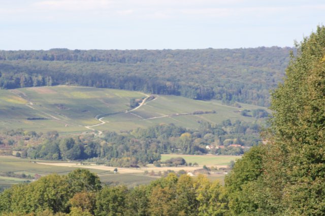 Gte du champagne couvent fils