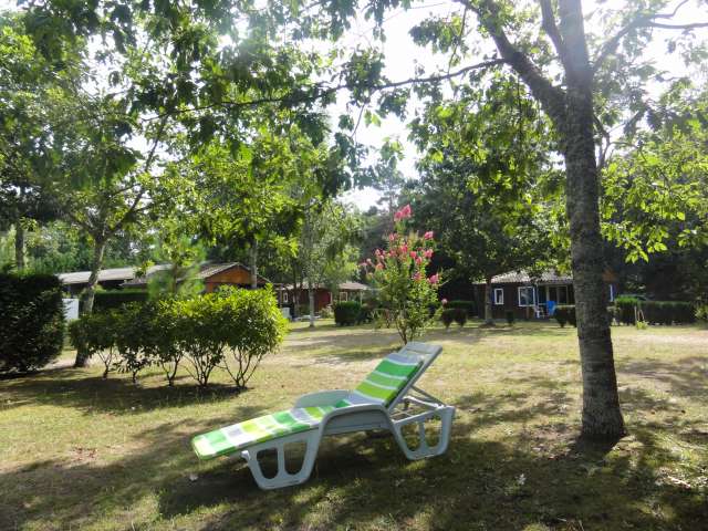 Photo Campsite Saint paul les dax Camping l'étang d'ardy
