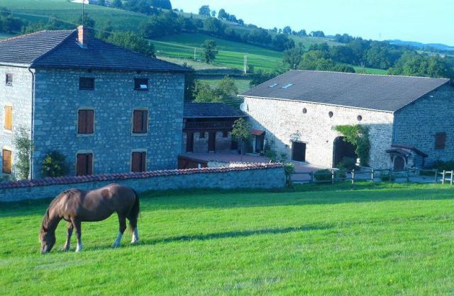 Photo Cottages Saint victor sur rhins La prairie