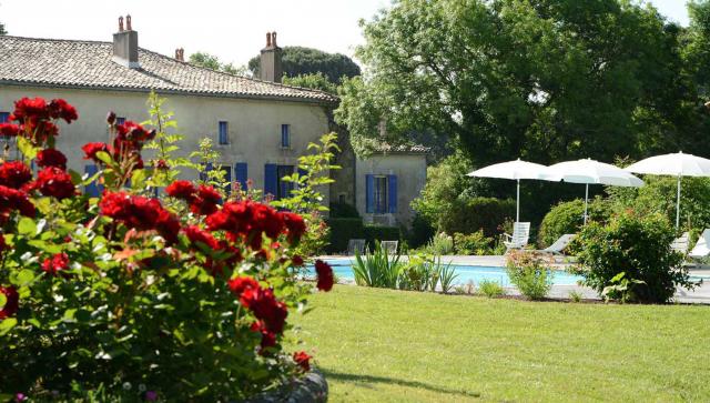Jardin et piscine