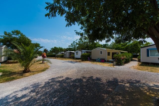 Photo Campsite Vic la gardiole Altea camping
