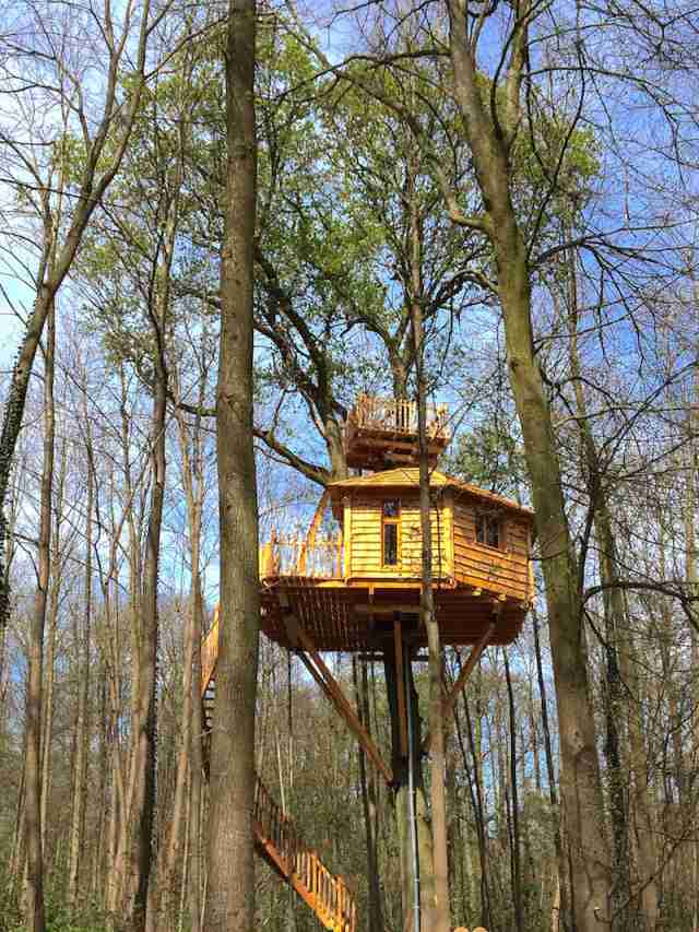 Les cabanes des grands chnes